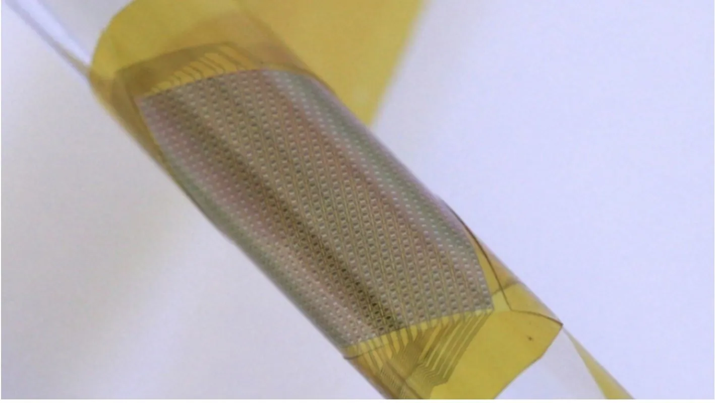 Researchers Demonstrate Flexible Brain Interfaces Researchers Demonstrate Flexible Brain Interfaces