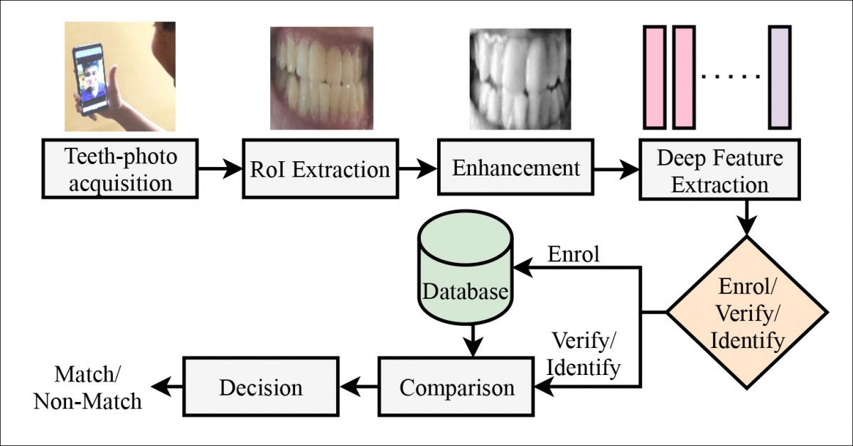 The DeepTeeth approach passes cropped raw user-taken images through an enhancement framework for subsequent feature extraction before on-device processing through a generic pre-trained local network.