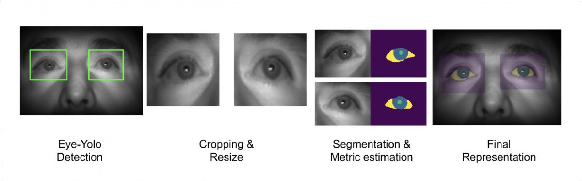 You Only Look Once (YOLO) individuates the subject's eyes, after which the framework separates the instances and performs segmentation to break the eye image down into its constituent parts. Source: https://arxiv.org/pdf/2106.15828.pdf