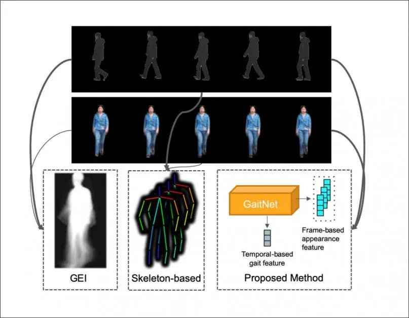 From the 2019 FVG paper, GaitNet automatically learns the essentialized gait features from 'walking video', based on front view footage, a frequent viewing scenario in public-facing cameras. Source: https://arxiv.org/pdf/1904.04925.pdf