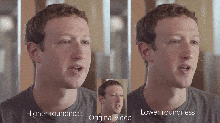 Mark Zuckerberg's dimensions expanded and narrowed by the Chinese/British technique.