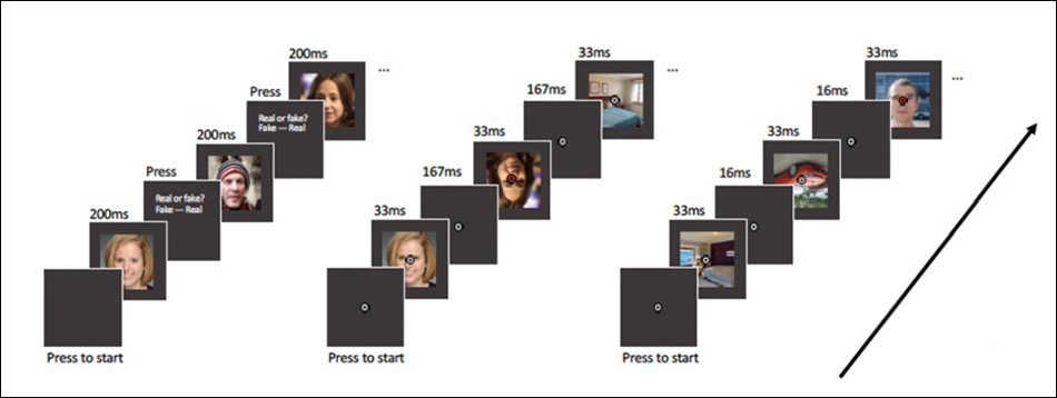 Various iterations and approaches for the experiments, which involved two groups of test subjects needing to classify a briefly-shown image as 'fake' or 'real'. The first round took place on Amazon Mechanical Turk, with 200 volunteers, while the second round involved a smaller number of volunteers responding to the tests while hooked up to EEG machines. Source: https://tijl.github.io/tijl-grootswagers-pdf/Moshel_et_al_-_2022_-_Are_you_for_real_Decoding_realistic_AI-generated_.pdf