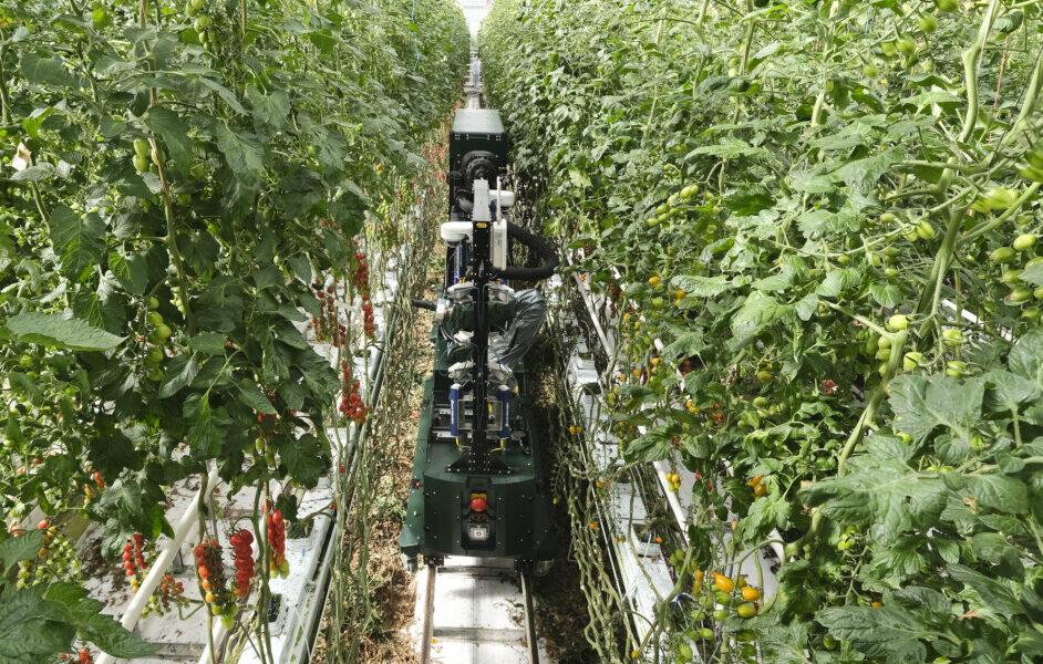 Four Growers Secures M Series A to Revolutionize Greenhouse Farming with AI and Robotics Four Growers Secures M Series A to Revolutionize Greenhouse Farming with AI and Robotics