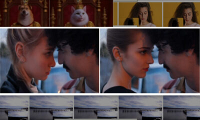 Images from the paper 'VideoPainter: Any-length Video Inpainting and Editing with Plug-and-Play Context Control'.