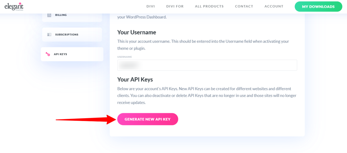 Uuden API-avaimen luominen Elegant Themesissa.