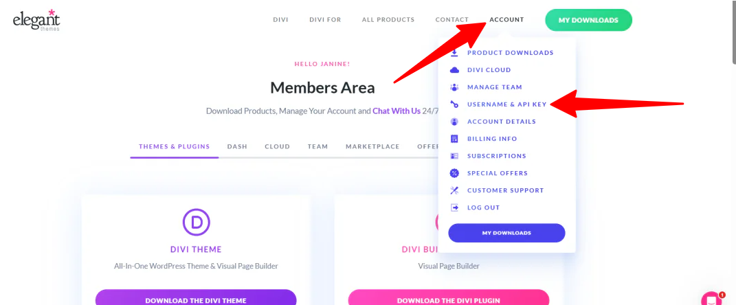 Käyttäjätunnuksen ja API-avaimen käyttäminen Elegant Themes -tililtä.