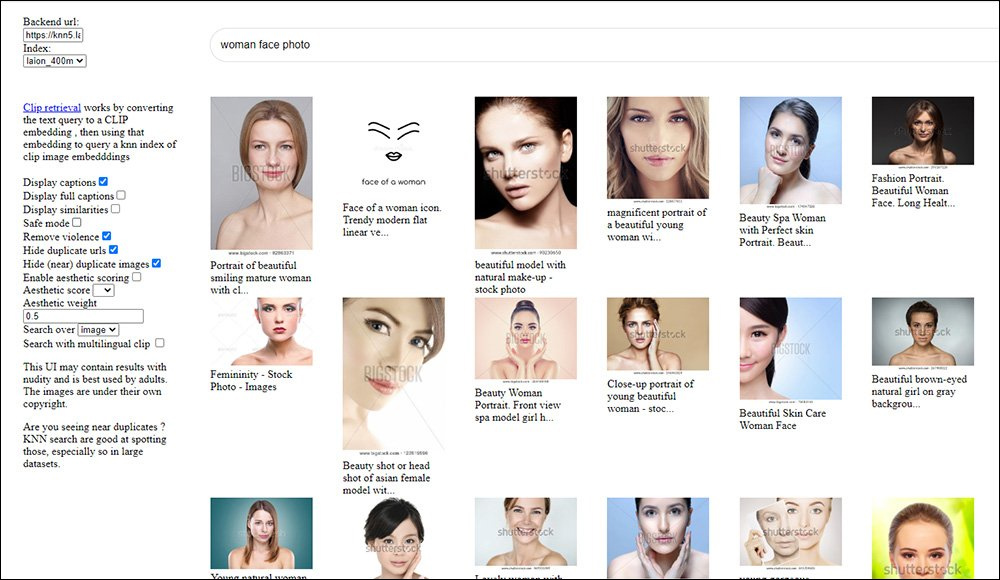 An illustration of how weak captions limit the usefulness of LAION images for training models like Stable Diffusion. Many of the text labels are shallow, vague, or optimized for SEO rather than accurate description, making it harder for the model to learn fine-grained visual concepts such as facial features (original source was https://rom1504.github.io/, now defunct).