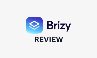 Brizy review.