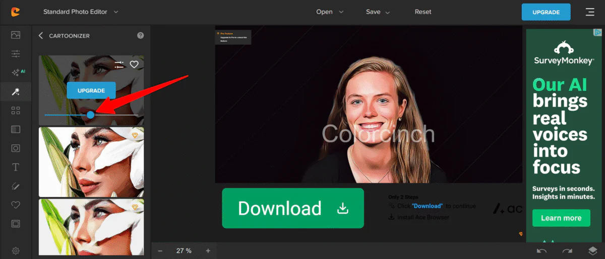 Réglage de l'intensité de l'effet de cartographiation sur Colorcinch.