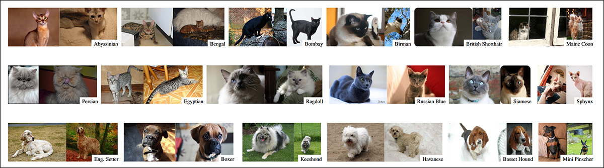 Examples from the Oxford-IIIT Pet Dataset. Source: https://www.robots.ox.ac.uk/~vgg/publications/2012/parkhi12a/parkhi12a.pdf