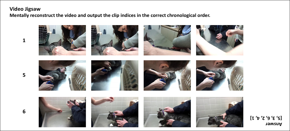 Makalenin ek materyalinden, video bulmacası mücadelesinin kısaltılmış örnekleri.