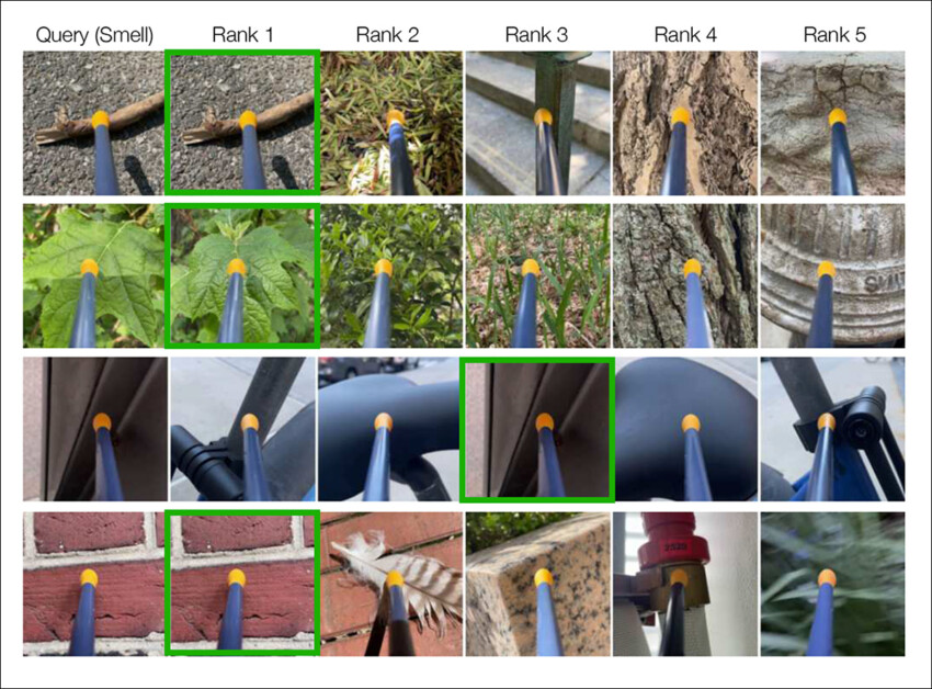 detail from the seventh illustration in the source paper, which is too condensed to reproduce meaningfully here. Here, cross‑modal retrieval examples showing how the model links smells to matching images. Each row begins with a smell query, followed by the top ranked image predictions in the shared embedding space. The correct image for each query is outlined in green, illustrating how odors from books, plants, masonry, and other materials pull the model toward visually and semantically related scenes.