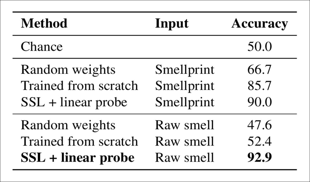 Accuracy of grass species classification from smell alone. Models were evaluated on their ability to distinguish between two visually similar grass types using only olfactory input. Performance was compared across smellprints and raw sensor data, with models either randomly initialized, trained from scratch, or trained using self-supervised learning (SSL) followed by a linear probe. The highest accuracy, 92.9%, was achieved using raw olfactory signals with SSL, indicating that fine-grained odor differences are best captured through raw input and vision-guided training.