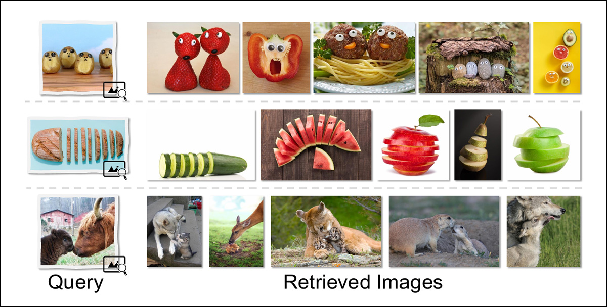 Relaatiohaku palauttaa kuvia, joilla on syvempi käsitteellinen rakenne kyselyn kanssa, sen sijaan, että ne vastaisivat pintapiirteitä. Esimerkiksi kasvoja muistuttavaksi muotoiltu ruoka-aine hakee muita antropomorfisia aterioita; viipaloitu esine tuottaa muita viipaloituja muotoja; ja aikuisen ja jälkeläisen vuorovaikutuskohtaukset palauttavat kuvia, joilla on samankaltaiset relaatioroolit, vaikka lajit ja koostumus eroaisivat toisistaan.