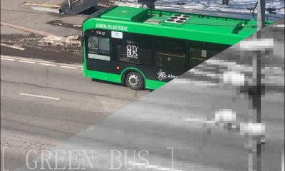 Excerpts from a video simulating a grayscale video stream activated by object detection – source: https://videos.pexels.com/video-files/36553218/15498630_2560_1440_25fps.mp4