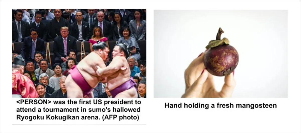 Two examples from Google Research's Conceptual 12M curation. Source - https://github.com/google-research-datasets/conceptual-12m/blob/main/images/cc12m_1.jpg