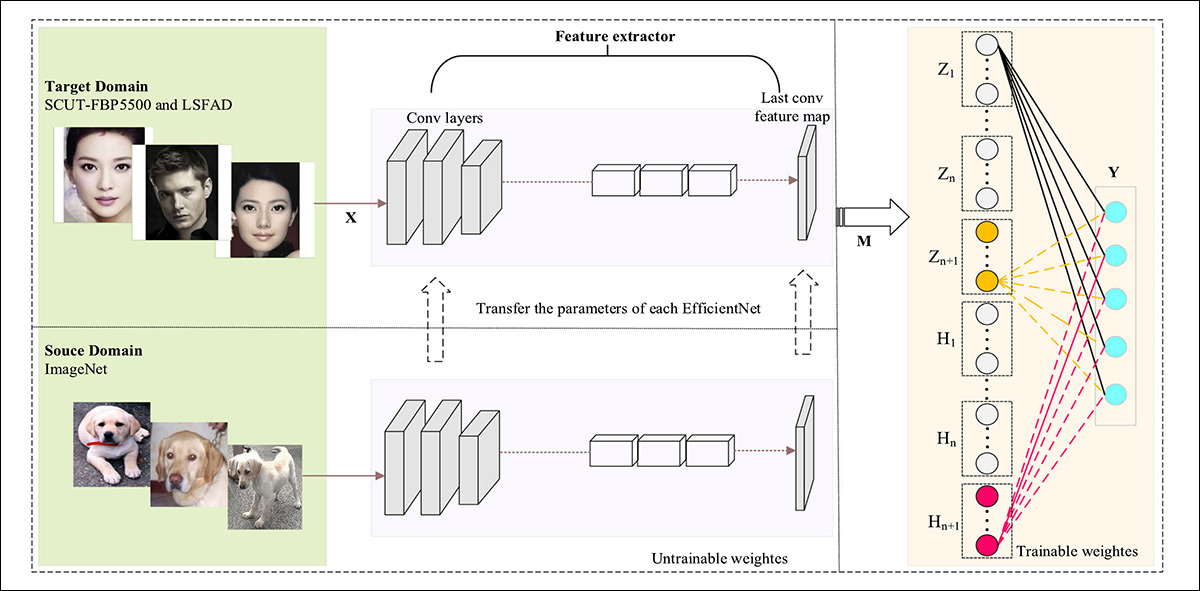 Architecture schema for the E-BLS model, showing how facial images from target datasets such as SCUT-FBP5500 and LSAFBD are first passed through a pre-trained EfficientNet feature extractor, whose parameters are transferred from ImageNet and kept fixed, before the resulting feature maps are fed into a Broad Learning System (BLS), where feature nodes and enhancement nodes are combined through trainable weights to produce the final facial beauty score.