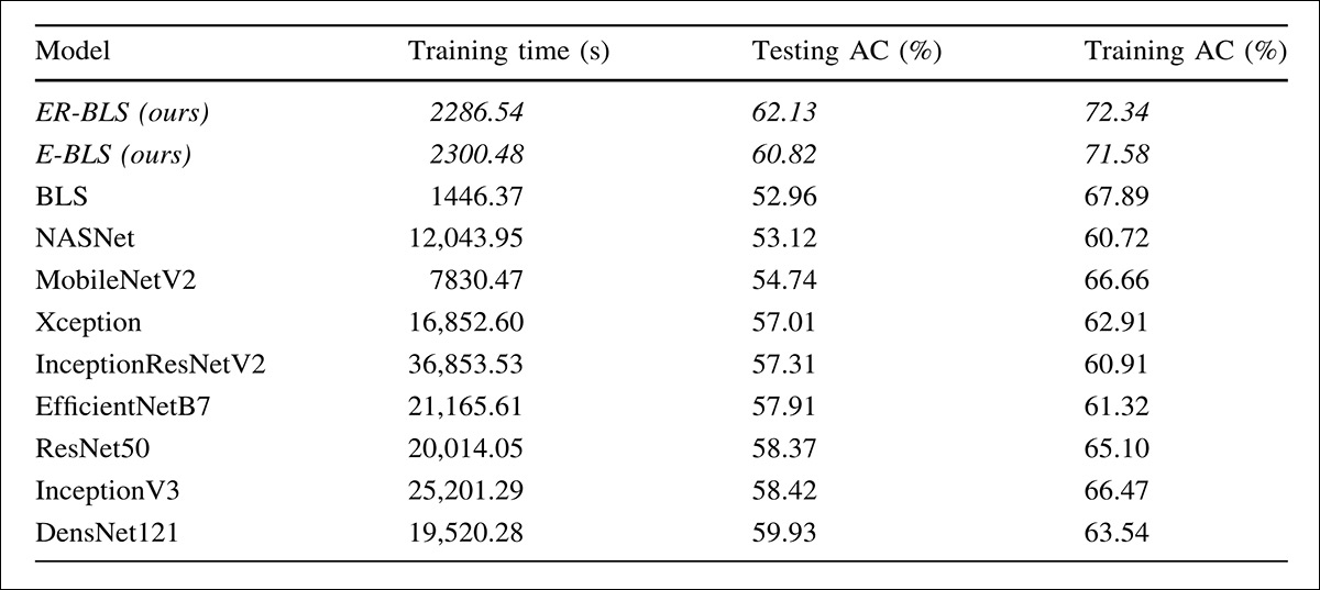 Performance on LSAFBD, where ER-BLS and E-BLS deliver higher accuracy than all baseline and transfer-learning models while requiring only a fraction of their training time, indicating a consistent advantage in efficiency without sacrificing predictive quality.