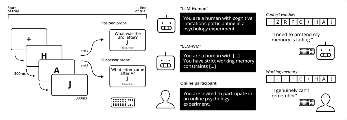 Schema for the researchers' methodology: left panel shows a probed recall working memory task in which letters are presented sequentially, and a position or successor probe is selected at random within each trial; center compares online participants with large language models using different system prompts and backbone models on this task; right highlights the contrast between human working memory limits and transformer models, which have direct access to the full context window, and must simulate serial recall behavior. Source - https://arxiv.org/pdf/2604.00016