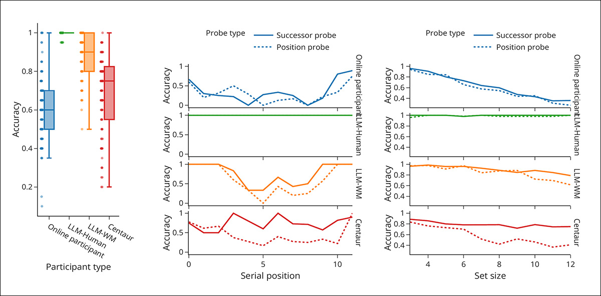 Working memory performance across multiple tests in the probed recall task, comparing online participants with LLM variants under different constraints. Left panel shows overall accuracy by participant type, with LLM-Human achieving near-perfect scores, while LLM-WM and Centaur show reduced accuracy closer to human levels; center panel plots accuracy by serial position for twelve-item trials, where humans show stronger recall at the beginning and end, LLM-Human shows no such pattern, and LLM-WM and Centaur reproduce it when guided or trained; right panels show accuracy as set size increases, with human performance declining under higher memory load, LLM-Human remaining largely unaffected, and LLM-WM and Centaur showing similar declines when prompted or trained to mimic human memory.