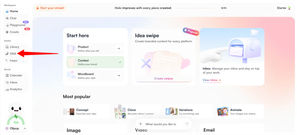 Going to the DNA dashboard in Holo AI.