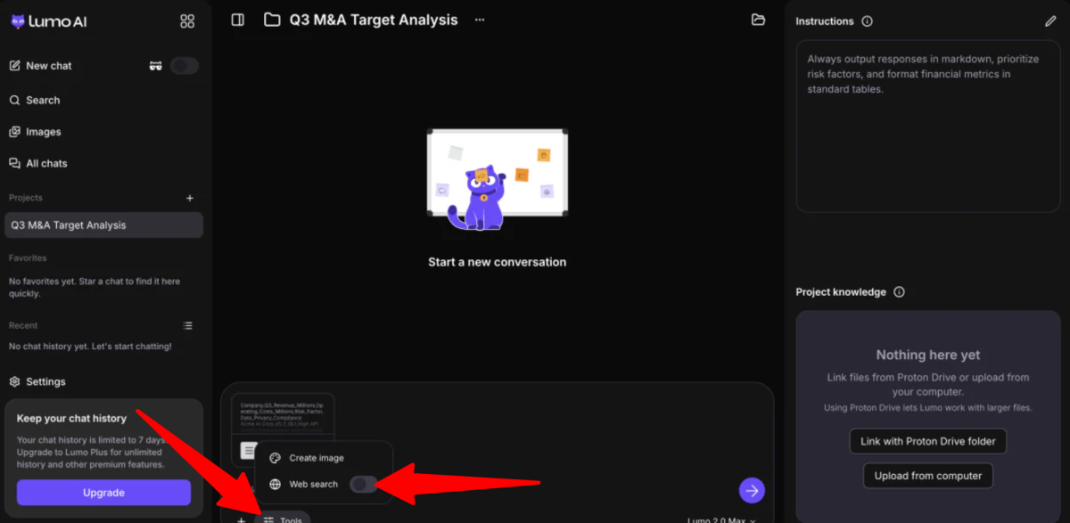 Turning web search off when using Lumo AI.