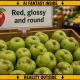 AI-generated image (GPT-2): a supermarket bin contains misshapen green apples beneath a sign showing a red apple and the words 'Red, glossy and round.' The image is surrounded by a yellow-and-black border labelled “AI fantasy inside” and “reality outside,” with inward-pointing arrows.