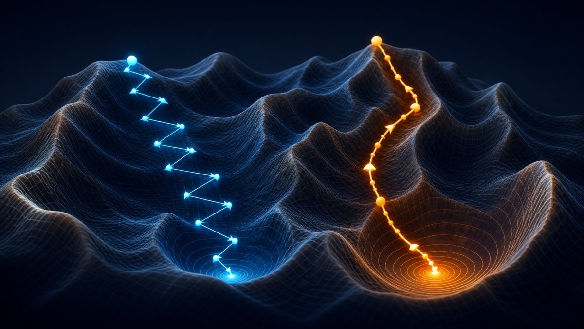 SGD vs. Adam: How Machine Learning Optimizers Actually Learn