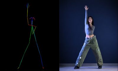 An enlargement from a test video wherein the dance movements of a stick figure inform and drive the motion of a single identity. Source - https://liveanimate.github.io/