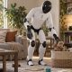 Figure 03 humanoid robot tidying a living room with Helix 2.5