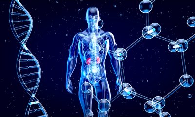 Expanding to New Healthcare Markets: The Growing Impact of Medical AI